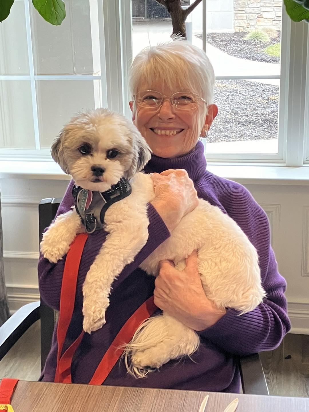 A senior resident smiling and holding a small fluffy dog in her arms while seated by a window in a senior living community, both enjoying a moment of companionship.